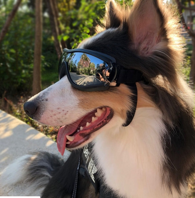 Dog Goggles – Waterproof & Windproof Pet Sunglasses with UV Protection