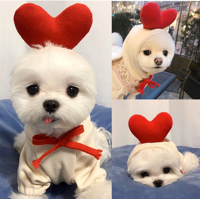 Cute Dog Hoodie – Warm Winter Clothes for Small Dogs & Puppies