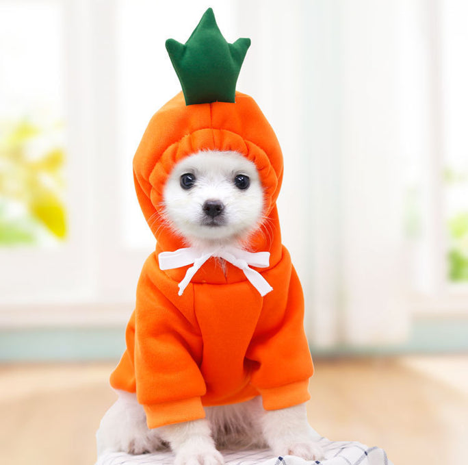 Cute Dog Hoodie – Warm Winter Clothes for Small Dogs & Puppies