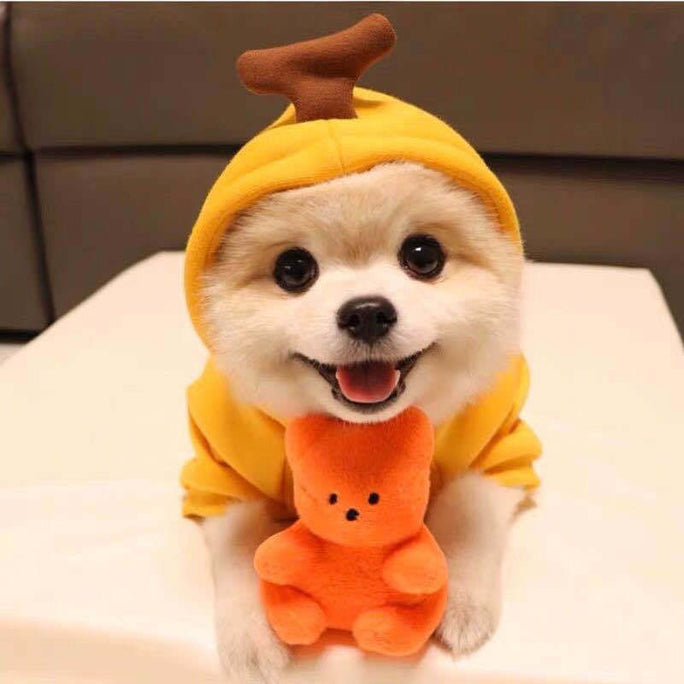 Cute Dog Hoodie – Warm Winter Clothes for Small Dogs & Puppies