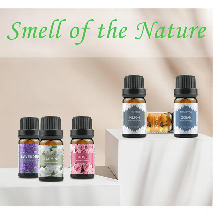 550ml Essential Oil Diffuser with Auto Shut-Off + 6-Pack Aromatherapy Oils