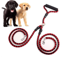 Double-Ended Dog Leash – Walk Two Dogs with One Leash