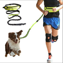 Hands-Free Dog Leash with Training Belt – Shock-Absorbing Bungee & Storage Pockets