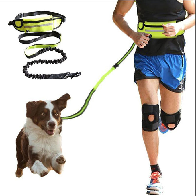Hands-Free Dog Leash with Training Belt – Shock-Absorbing Bungee & Storage Pockets