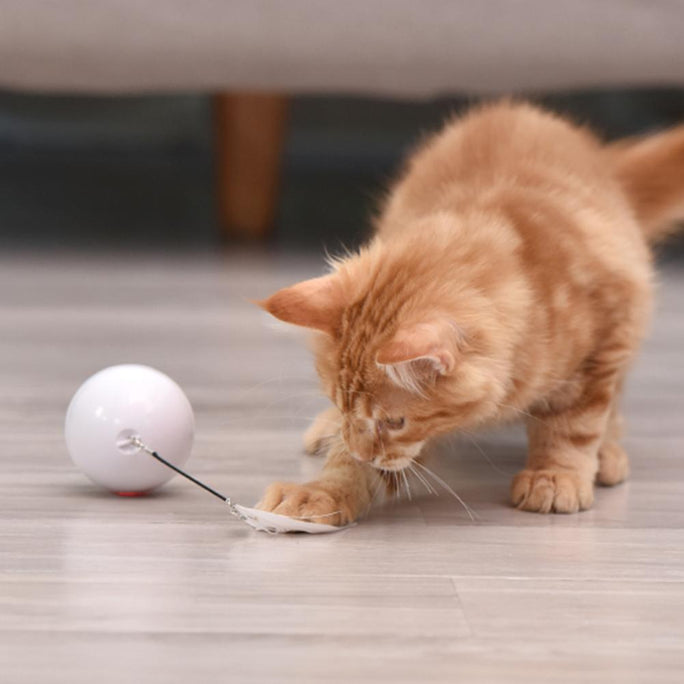 LED Laser Rolling Cat Toy – Interactive Electronic Ball for Pets