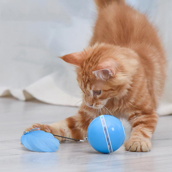 LED Laser Rolling Cat Toy – Interactive Electronic Ball for Pets