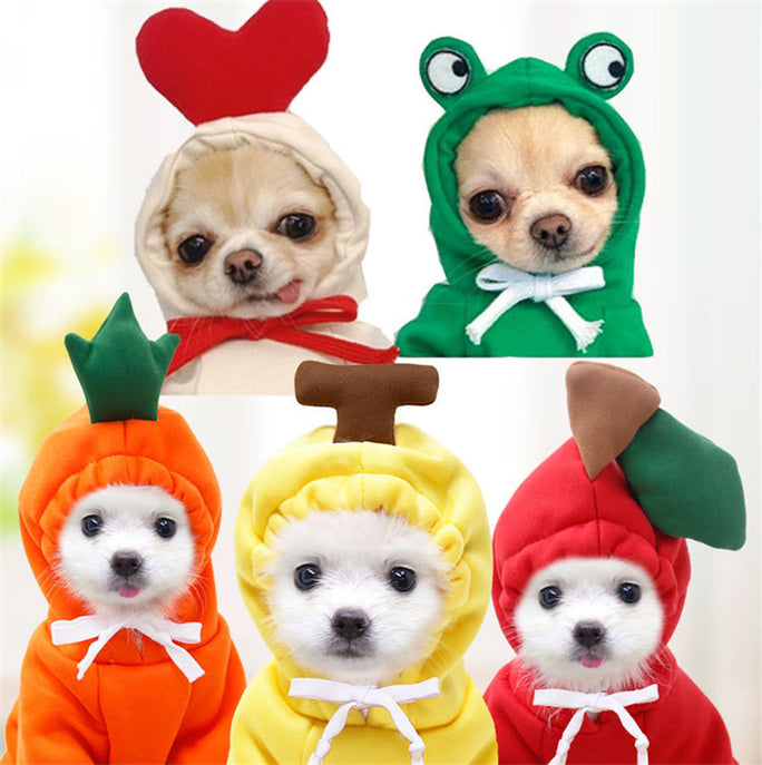 Cute Dog Hoodie – Warm Winter Clothes for Small Dogs & Puppies