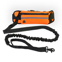 Hands-Free Dog Leash with Training Belt – Shock-Absorbing Bungee & Storage Pockets