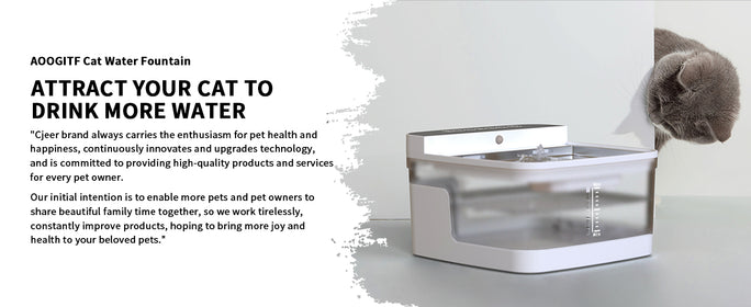 Smart Pet Water Fountain – UV Sterilization and Motion Sensor