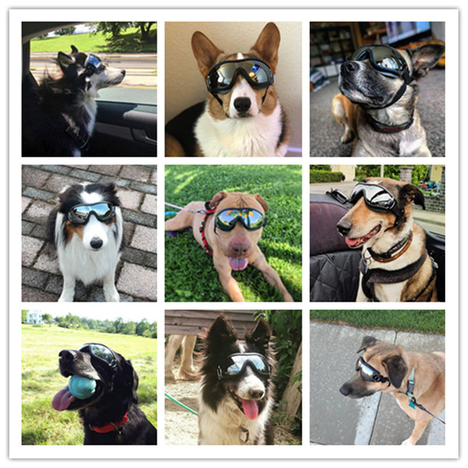 Dog Goggles – Waterproof & Windproof Pet Sunglasses with UV Protection