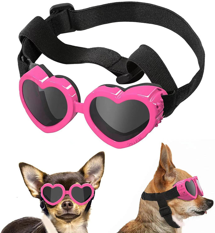 Windproof Pet Goggles – Eye Protection with Style