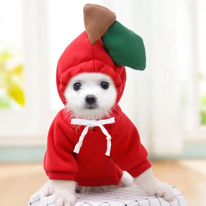 Cute Dog Hoodie – Warm Winter Clothes for Small Dogs & Puppies