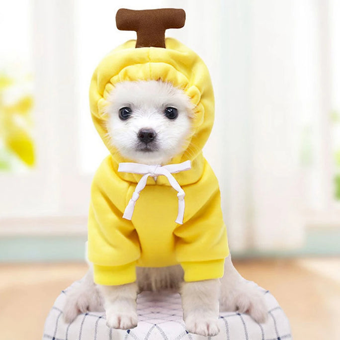 Cute Dog Hoodie – Warm Winter Clothes for Small Dogs & Puppies